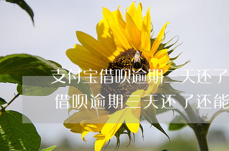 支付宝借呗逾期三天还了还能借么-支付宝借呗逾期三天还了还能借么吗
