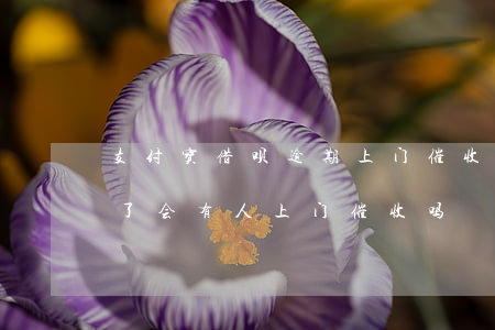 支付宝借呗逾期上门催收-支付宝借呗逾期了会有人上门催收吗?