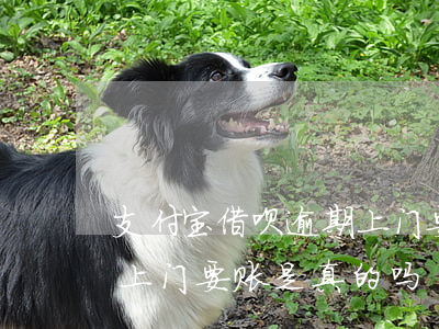 支付宝借呗逾期上门要账-支付宝借呗逾期上门要账是真的吗