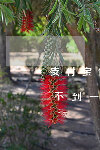 支付宝借呗逾期不到一天-支付宝借呗逾期不到一天怎么办