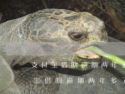 支付宝借呗逾期两年多了还没被起诉-支付宝借呗逾期两年多了还没被起诉怎么办
