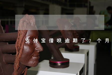 支付宝借呗逾期了7个月