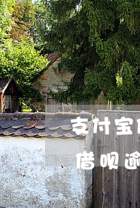 支付宝借呗逾期了8天影响出行吗-支付宝借呗逾期了8天影响出行吗知乎