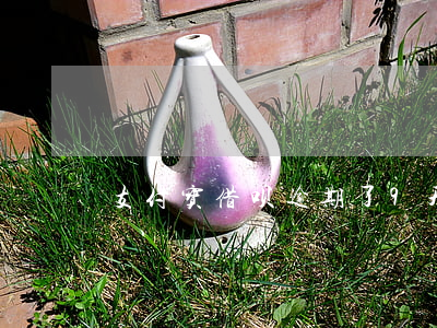 支付宝借呗逾期了9天(蚂蚁借呗逾期6天)