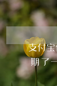 支付宝借呗逾期了一个礼拜-支付宝借呗逾期了一周
