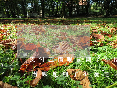 支付宝借呗逾期了不接电话可以吗-支付宝借呗逾期了不接电话可以吗知乎