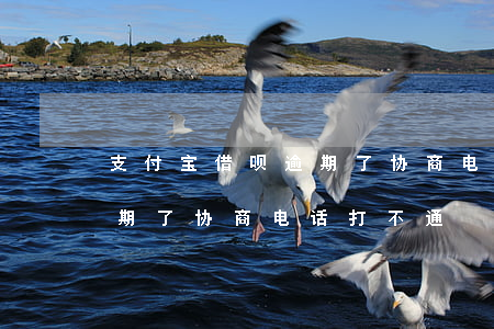 支付宝借呗逾期了协商电话-支付宝借呗逾期了协商电话打不通