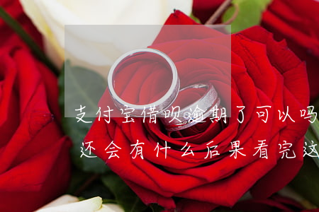 支付宝借呗逾期了可以吗(支付宝借呗逾期不还会有什么后果?看完这些后)