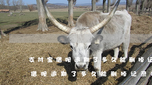 支付宝借呗逾期了多久能删掉记录-支付宝借呗逾期了多久能删掉记录呢