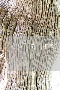支付宝借呗逾期了没钱还(蚂蚁借呗逾期未还)