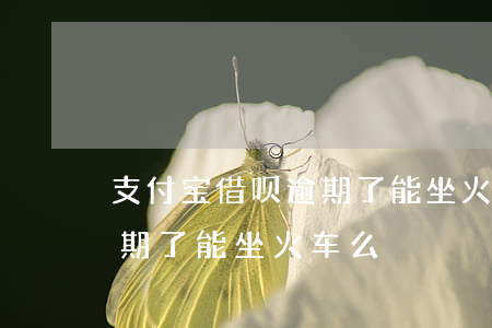 支付宝借呗逾期了能坐火车么(支付宝借呗逾期了能坐火车么)