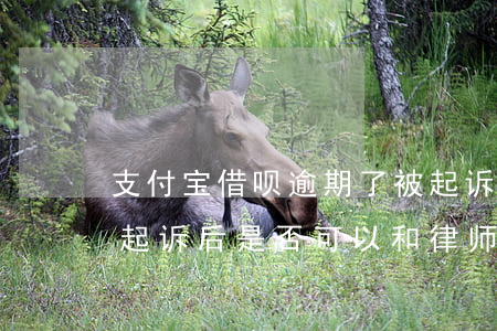 支付宝借呗逾期了被起诉(支付宝借呗逾期被起诉后是否可以和律师协商)