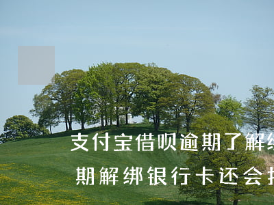 支付宝借呗逾期了解绑银行卡(支付宝借呗逾期解绑银行卡还会扣钱么)