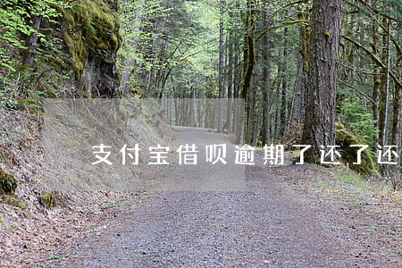 支付宝借呗逾期了还了还能借吗