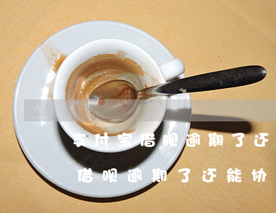 支付宝借呗逾期了还能协商还款吗-支付宝借呗逾期了还能协商还款吗怎么还