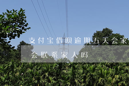 支付宝借呗逾期五天会家访吗(借呗逾期两天会联系家人吗)