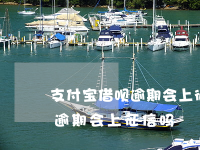支付宝借呗逾期会上征信嘛-支付宝借呗没逾期会上征信吗