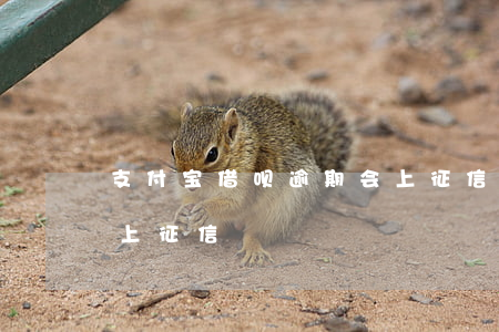 支付宝借呗逾期会上征信(支付宝借呗逾期会上征信)