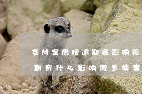 支付宝借呗逾期会影响孩子吗(支付宝借呗逾期有什么影响? 佩多博客)