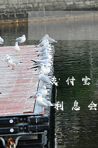 支付宝借呗逾期会涨利息吗(支付宝借呗逾期利息会不会翻倍)