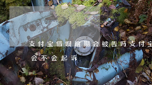 支付宝借呗逾期会被告吗(支付宝借呗逾期了会不会起诉)