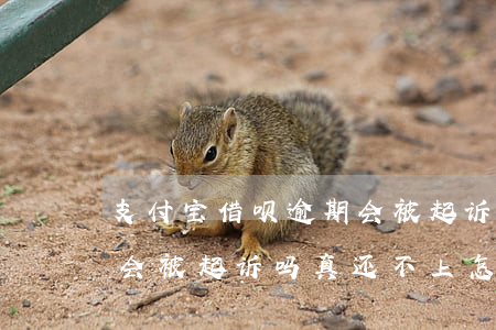 支付宝借呗逾期会被起诉-支付宝借呗逾期会被起诉吗?真还不上怎么办