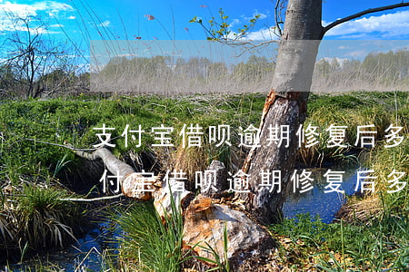 支付宝借呗逾期修复后多少分才可以借-支付宝借呗逾期修复后多久可以继续使用