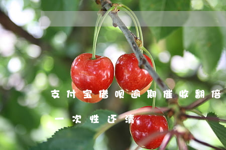 支付宝借呗逾期催收翻倍(借呗逾期催收说会一次性还清)