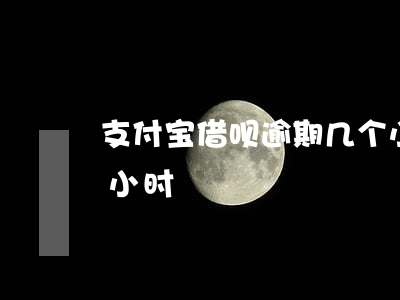 支付宝借呗逾期几个小时(支付宝 借呗 逾期1小时)
