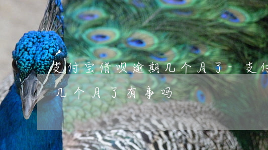 支付宝借呗逾期几个月了-支付宝借呗逾期几个月了有事吗