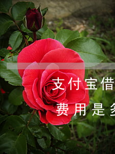 支付宝借呗逾期利息公式(支付宝借呗逾期的费用是多少)