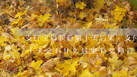 支付宝借呗逾期十天后果-支付宝借呗逾期十天会有什么后果?,有奖问答