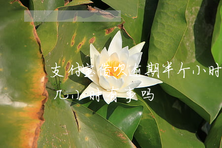 支付宝借呗逾期半个小时有事吗-借呗逾期几小时有事吗