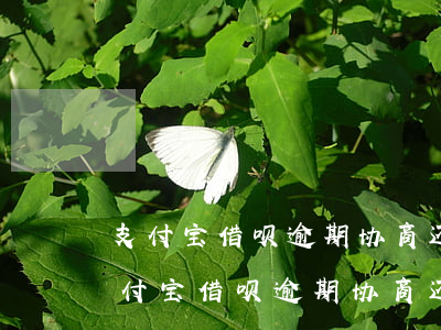 支付宝借呗逾期协商还款可以减免利息嘛（支付宝借呗逾期协商还款减免利息）