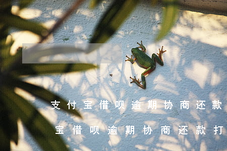 支付宝借呗逾期协商还款打什么电话-支付宝借呗逾期协商还款打什么电话投诉