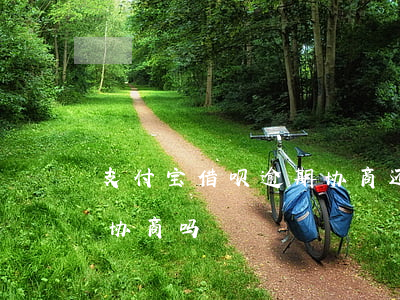 支付宝借呗逾期协商还款有用吗(借呗逾期能协商吗)