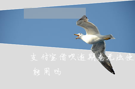 支付宝借呗逾期卷无法使用(借呗逾期支付宝能用吗)