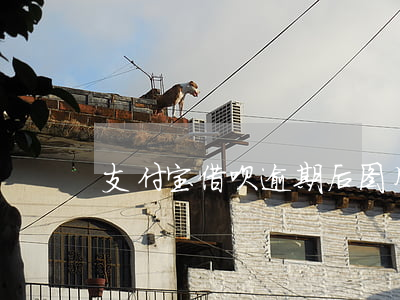 支付宝借呗逾期后图片 借呗逾期还款图片
