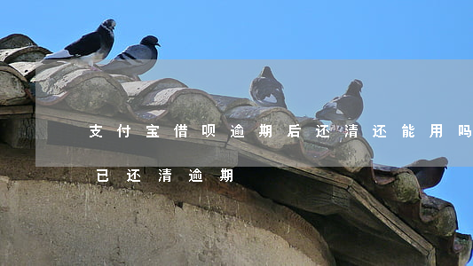 支付宝借呗逾期后还清还能用吗(支付宝借呗已还清逾期)