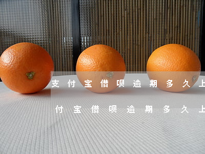 支付宝借呗逾期多久上征信?借呗上征信-支付宝借呗逾期多久上征信?借呗逾期几天上征信