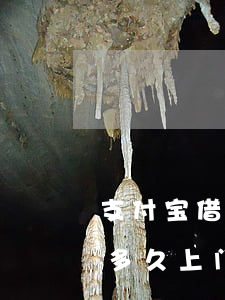 支付宝借呗逾期多久上门-支付宝借呗逾期多久上门核实