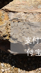 支付宝借呗逾期多久会上征信多久可以-支付宝借呗逾期多久会上征信多久可以消除花呗