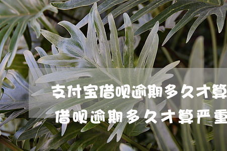 支付宝借呗逾期多久才算严重逾期-支付宝借呗逾期多久才算严重逾期呢