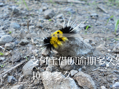 支付宝借呗逾期多久黑户(欠支付宝借呗会被拉黑多久?)