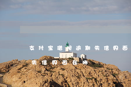 支付宝借呗逾期失信界面-支付宝借呗逾期失信界面在哪
