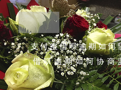 支付宝借呗逾期如何协商监管部门-支付宝借呗逾期如何协商监管部门投诉