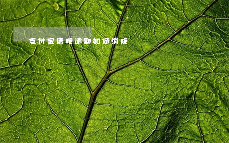 支付宝借呗逾期如何消除