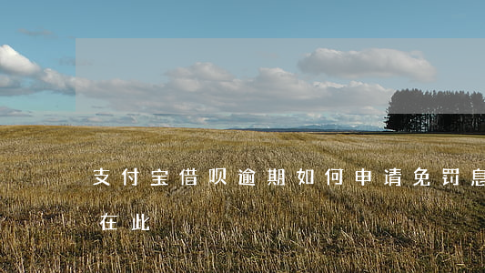 支付宝借呗逾期如何申请免罚息？详细步骤在此！