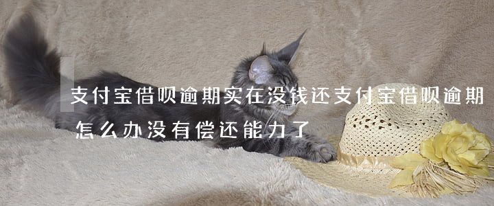 支付宝借呗逾期实在没钱还(支付宝借呗逾期怎么办 没有偿还能力了)