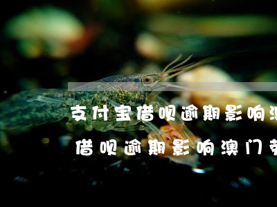 支付宝借呗逾期影响澳门劳工证吗-支付宝借呗逾期影响澳门劳工证吗有影响吗